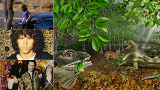 Will Global Warming Bring Back These Terrifying Lizard Kings?